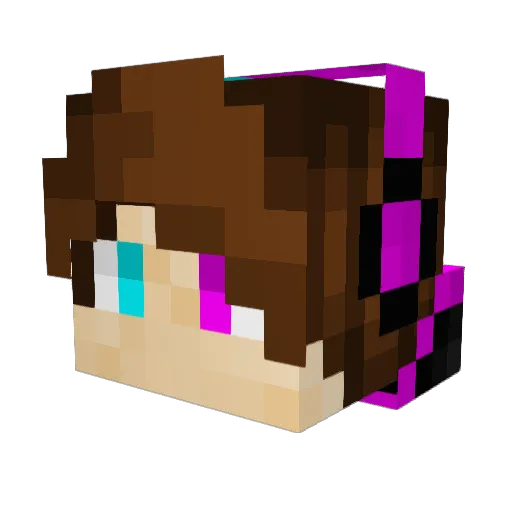 Lightningfox900 Minecraft avatar head, 3D render
