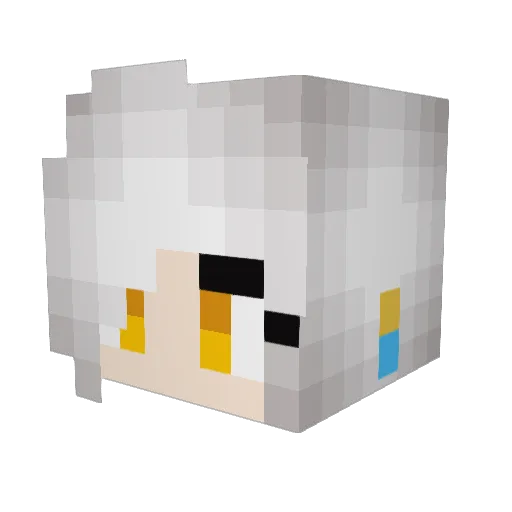 LightofNite Minecraft avatar head, 3D render
