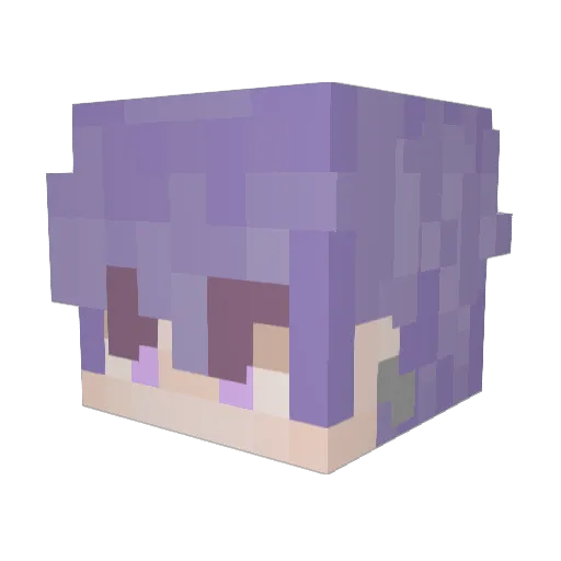 LightsOfNight Minecraft avatar head, 3D render