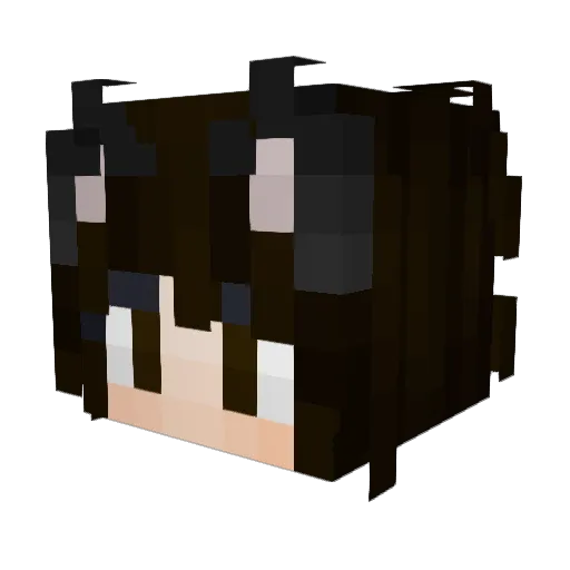 LightsRoot13 Minecraft avatar head, 3D render