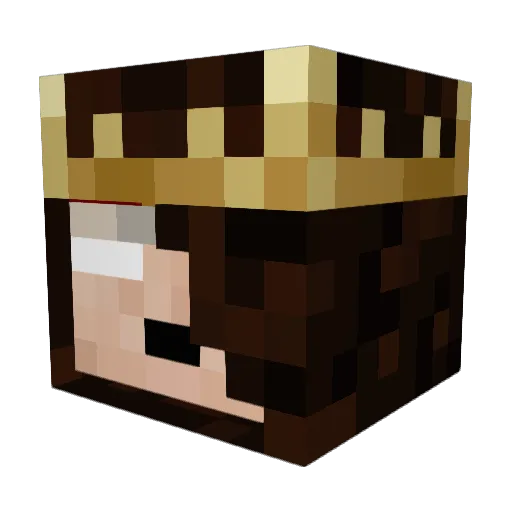 Lightshadow2011 Minecraft avatar head, 3D render