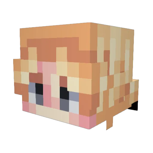 Lightsworn16 Minecraft avatar head, 3D render