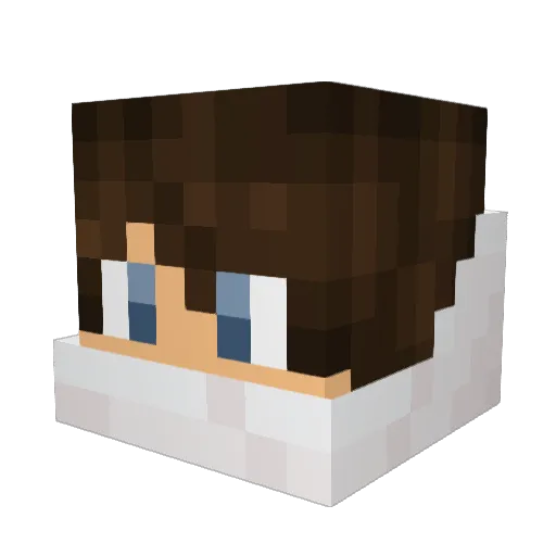 Lightwing10 Minecraft avatar head, 3D render