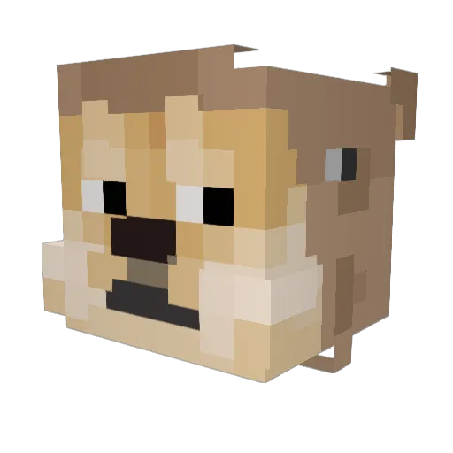 Lightyear03 Minecraft avatar head, 3D render