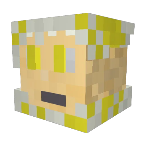 Lightzeus6565 Minecraft avatar head, 3D render