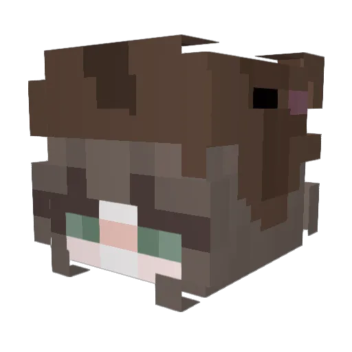 Ligligie Minecraft avatar head, 3D render