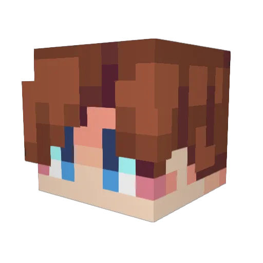 LigmaTransmitter Minecraft avatar head, 3D render