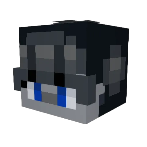 Lii25 Minecraft avatar head, 3D render