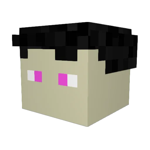 LiiAaHoo Minecraft avatar head, 3D render