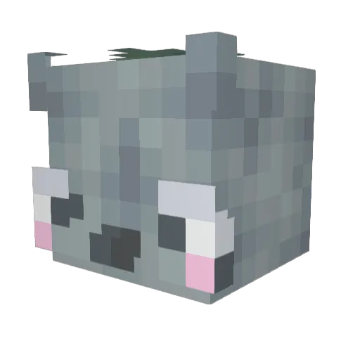 LiiAnn Minecraft avatar head, 3D render