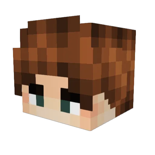 LiiSx Minecraft avatar head, 3D render