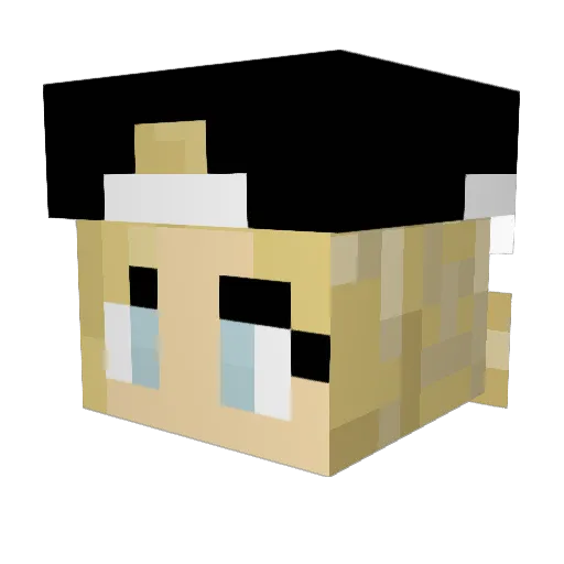 Liiddiia Minecraft avatar head, 3D render