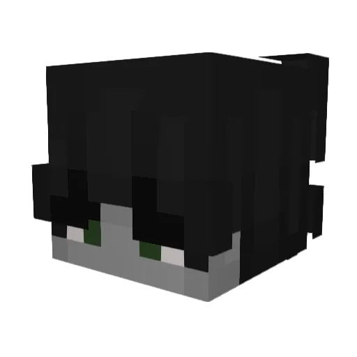 Liied Minecraft avatar head, 3D render