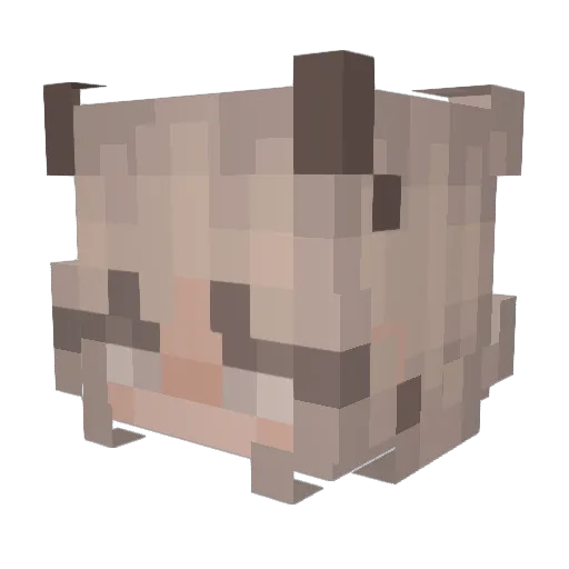 Liiillllly Minecraft avatar head, 3D render