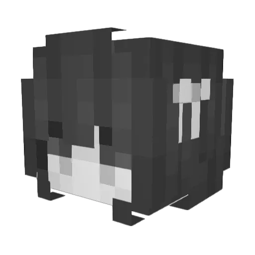 Liiion_ Minecraft avatar head, 3D render