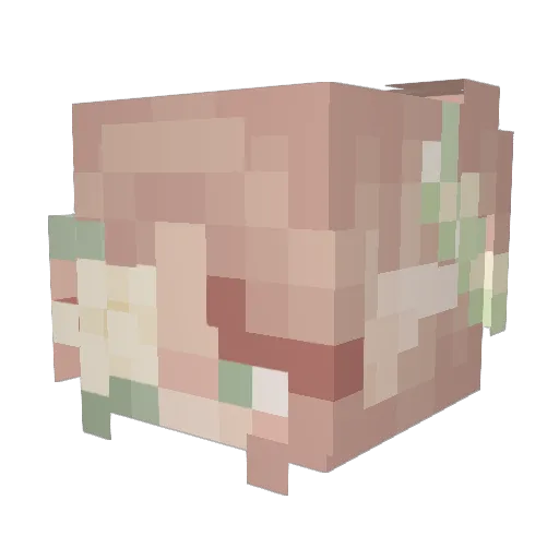 LiilyLilith Minecraft avatar head, 3D render