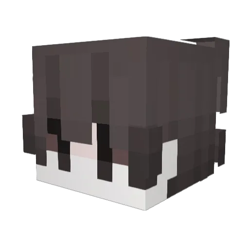 Liizer Minecraft avatar head, 3D render
