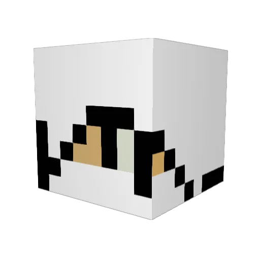 LikeABoss10900 Minecraft avatar head, 3D render