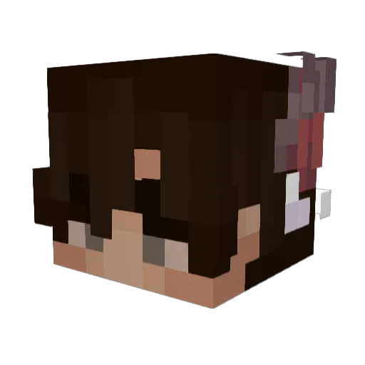 LikeRain Minecraft avatar head, 3D render
