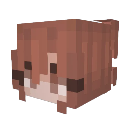 Likkuun Minecraft avatar head, 3D render
