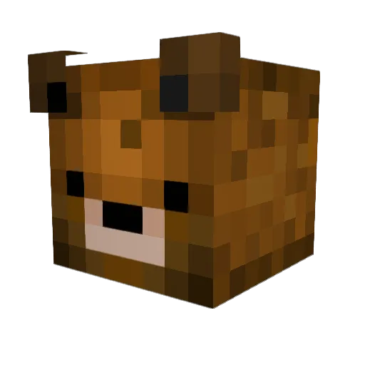 Lil2fire Minecraft avatar head, 3D render