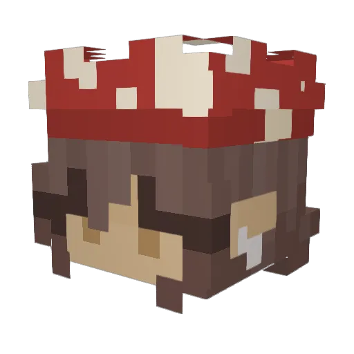 LilAngelCat713 Minecraft avatar head, 3D render
