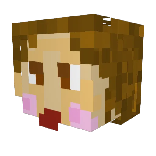 LilBill4307 Minecraft avatar head, 3D render