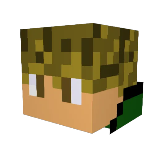 LilBinTr4sh Minecraft avatar head, 3D render