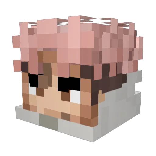 LilBirdJJ Minecraft avatar head, 3D render