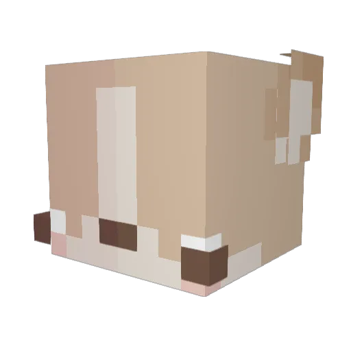 LilBit600 Minecraft avatar head, 3D render