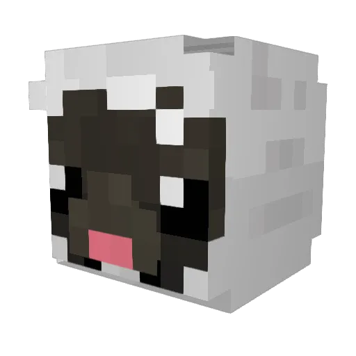 LilCheesyBoi Minecraft avatar head, 3D render