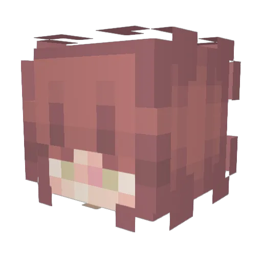 LilCoCoBean Minecraft avatar head, 3D render