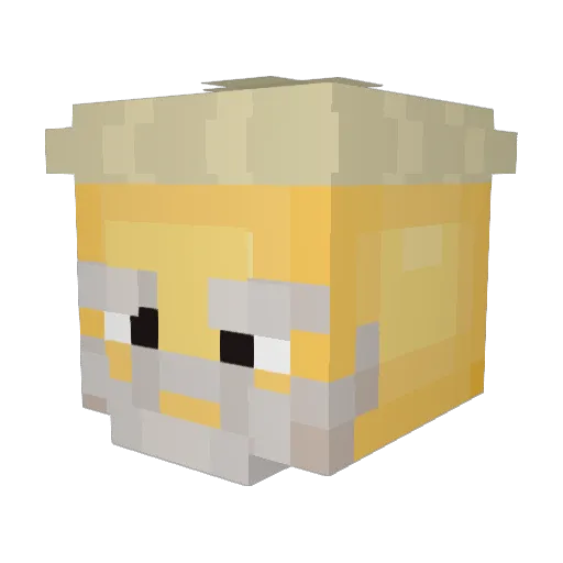LilDerp007 Minecraft avatar head, 3D render