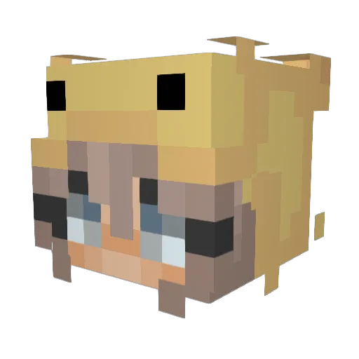 LilDesiree2006 Minecraft avatar head, 3D render