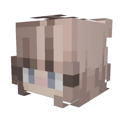 LilDino19 Minecraft avatar head, 3D render