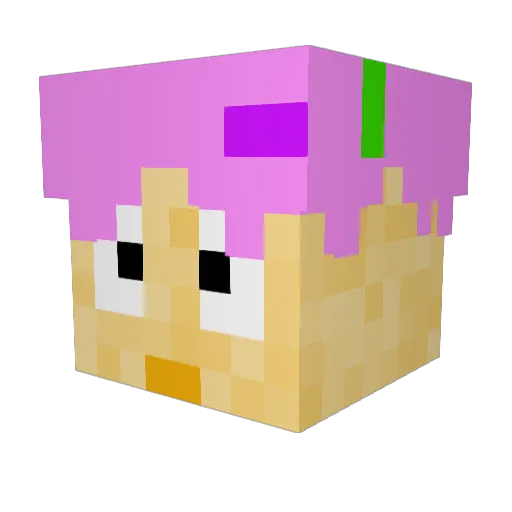 LilDonutHead Minecraft avatar head, 3D render