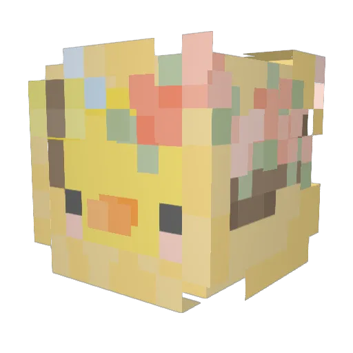 LilDuckyDarling Minecraft avatar head, 3D render