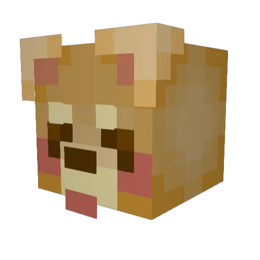 LilEmmyyy Minecraft avatar head, 3D render