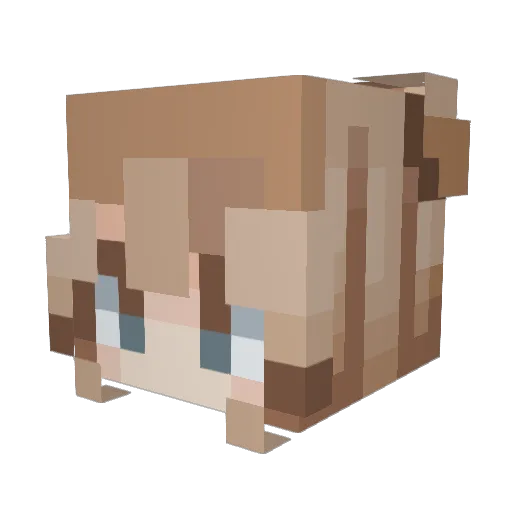 LilFairyGirl Minecraft avatar head, 3D render