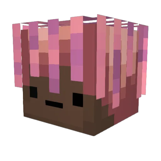 LilFishyyyy Minecraft avatar head, 3D render