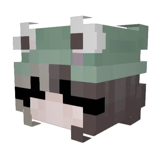 LilFrogWitch Minecraft avatar head, 3D render