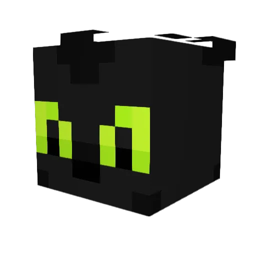 LilFroggy Minecraft avatar head, 3D render