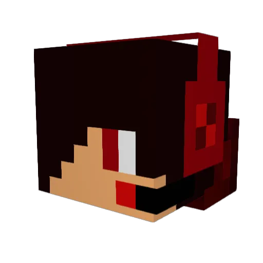 LilFuzzyEwok Minecraft avatar head, 3D render