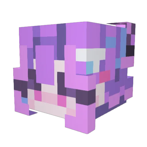 LilGrim__ Minecraft avatar head, 3D render