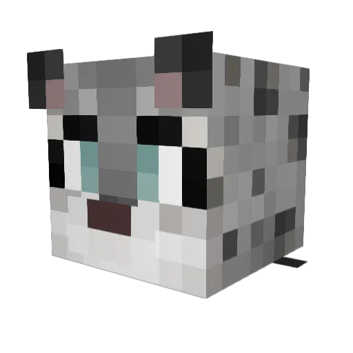 LilJMuffin Minecraft avatar head, 3D render