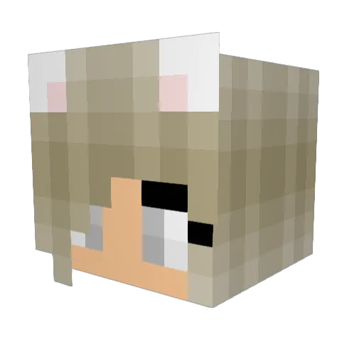 LilJuniper Minecraft avatar head, 3D render