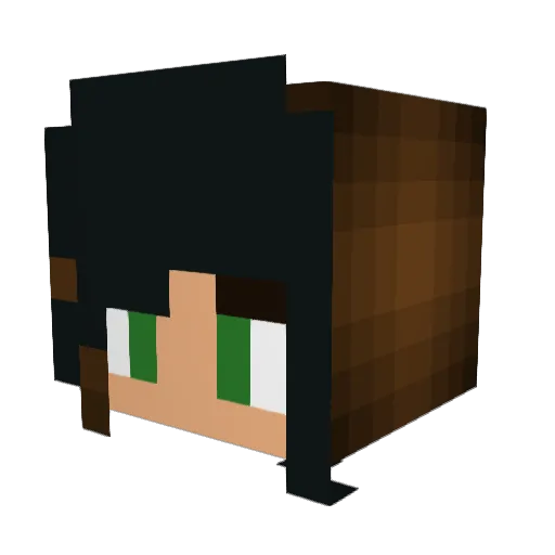 LilKC_10 Minecraft avatar head, 3D render