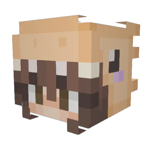 LilMesita Minecraft avatar head, 3D render
