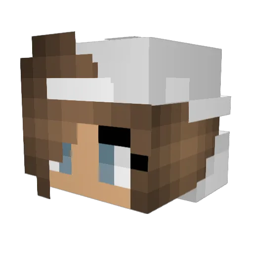 LilMinerz Minecraft avatar head, 3D render