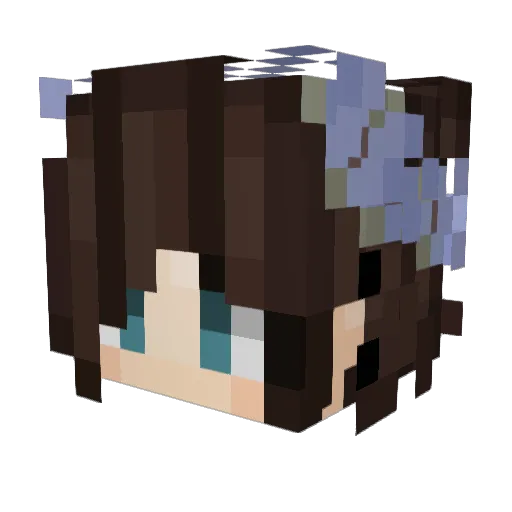 LilMiss2005 Minecraft avatar head, 3D render